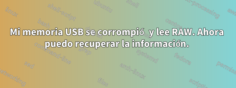 Mi memoria USB se corrompió y lee RAW. Ahora puedo recuperar la información.