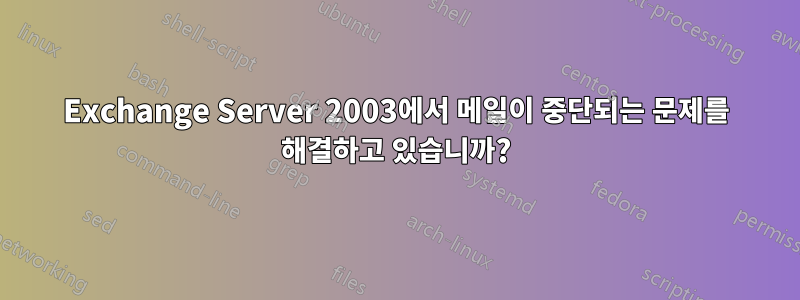 Exchange Server 2003에서 메일이 중단되는 문제를 해결하고 있습니까?