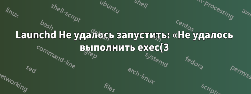 Launchd Не удалось запустить: «Не удалось выполнить exec(3) по какой-то странной причине»