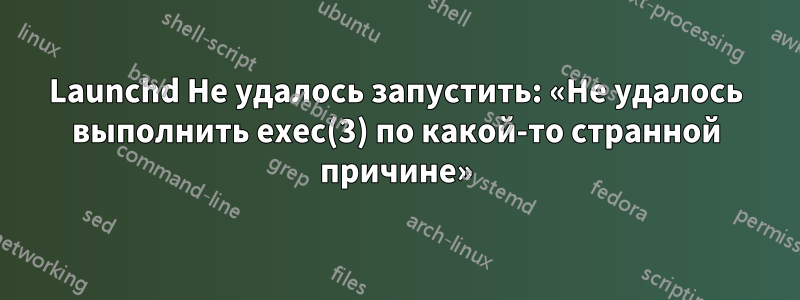 Launchd Не удалось запустить: «Не удалось выполнить exec(3) по какой-то странной причине»