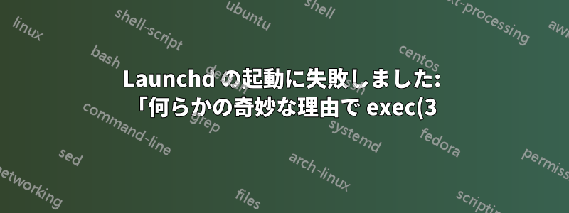 Launchd の起動に失敗しました: 「何らかの奇妙な理由で exec(3) に失敗しました」