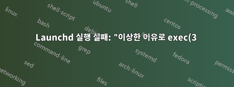 Launchd 실행 실패: "이상한 이유로 exec(3)을 실행하지 못했습니다."