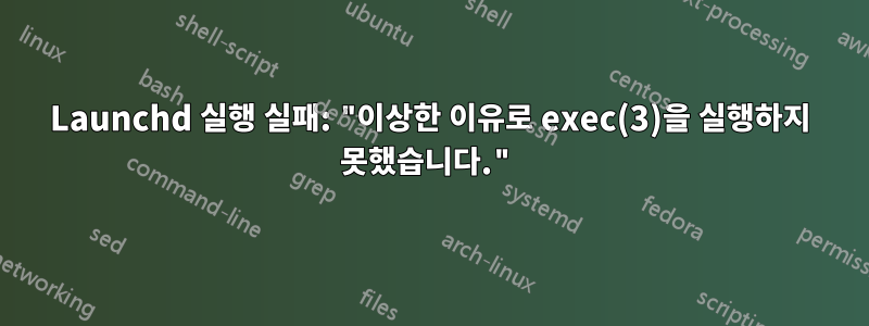 Launchd 실행 실패: "이상한 이유로 exec(3)을 실행하지 못했습니다."