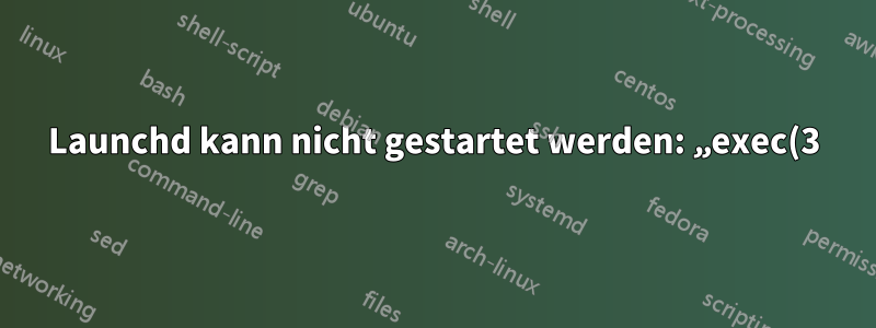 Launchd kann nicht gestartet werden: „exec(3) ist aus irgendeinem seltsamen Grund fehlgeschlagen“