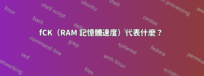 fCK（RAM 記憶體速度）代表什麼？