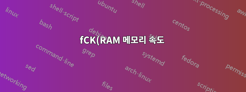 fCK(RAM 메모리 속도)는 무엇을 의미하나요?