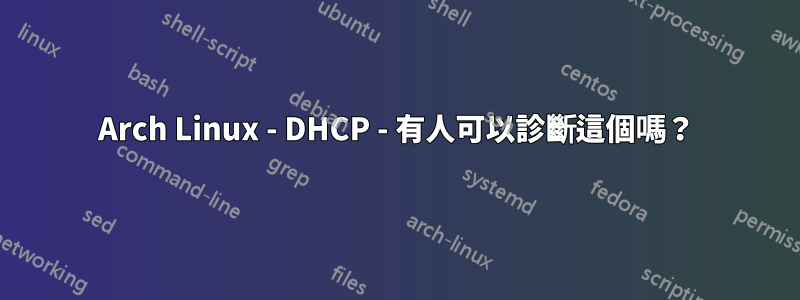 Arch Linux - DHCP - 有人可以診斷這個嗎？