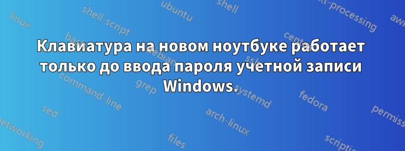 Клавиатура на новом ноутбуке работает только до ввода пароля учетной записи Windows.