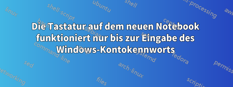 Die Tastatur auf dem neuen Notebook funktioniert nur bis zur Eingabe des Windows-Kontokennworts