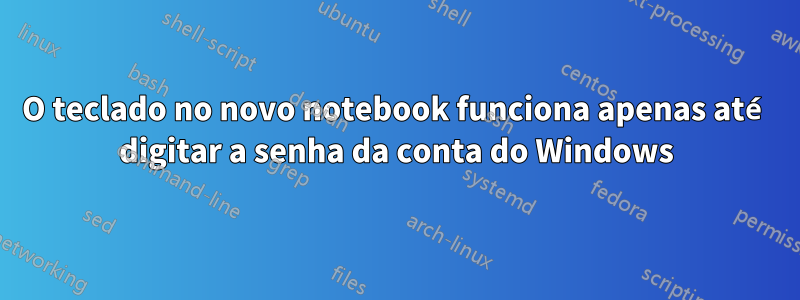 O teclado no novo notebook funciona apenas até digitar a senha da conta do Windows