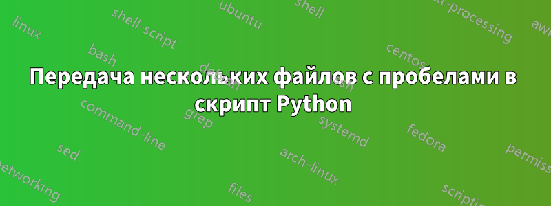 Передача нескольких файлов с пробелами в скрипт Python
