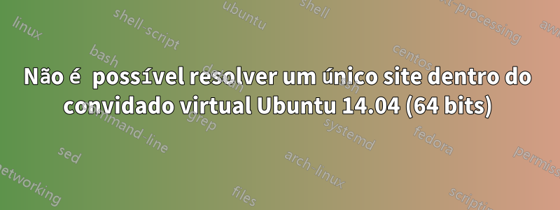 Não é possível resolver um único site dentro do convidado virtual Ubuntu 14.04 (64 bits)