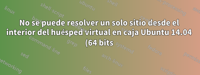 No se puede resolver un solo sitio desde el interior del huésped virtual en caja Ubuntu 14.04 (64 bits)