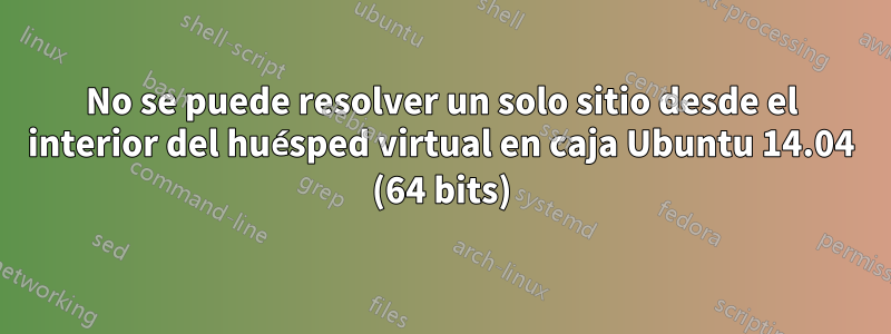 No se puede resolver un solo sitio desde el interior del huésped virtual en caja Ubuntu 14.04 (64 bits)