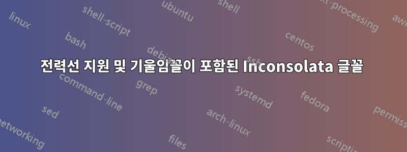 전력선 지원 및 기울임꼴이 포함된 Inconsolata 글꼴
