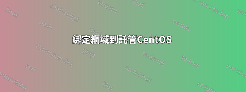 綁定網域到託管CentOS
