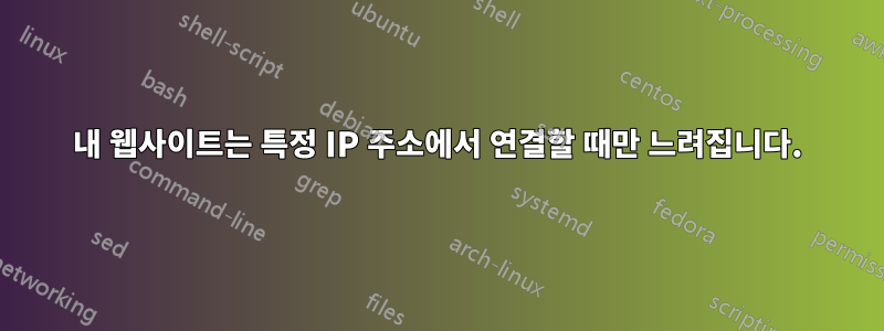 내 웹사이트는 특정 IP 주소에서 연결할 때만 느려집니다.