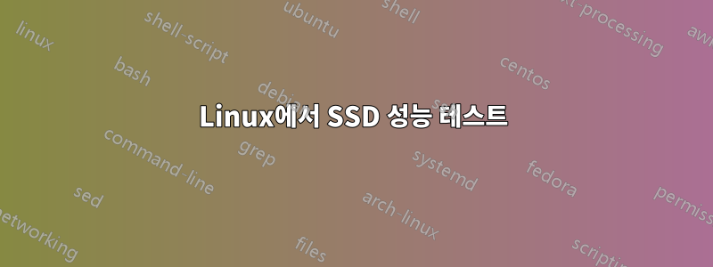 Linux에서 SSD 성능 테스트