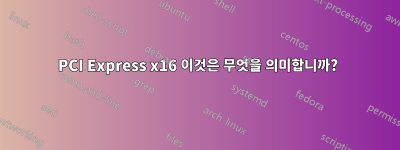PCI Express x16 이것은 무엇을 의미합니까?