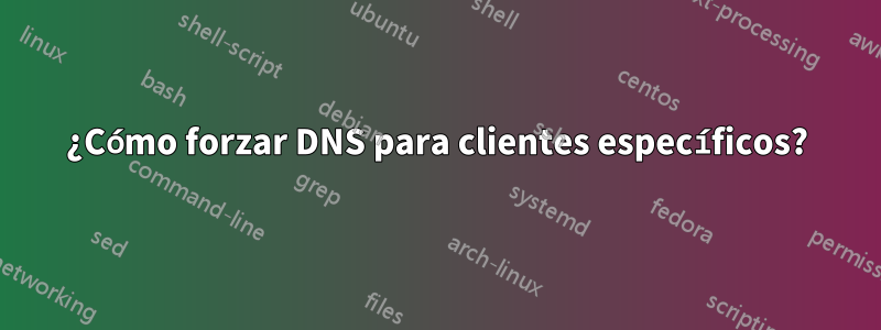 ¿Cómo forzar DNS para clientes específicos?