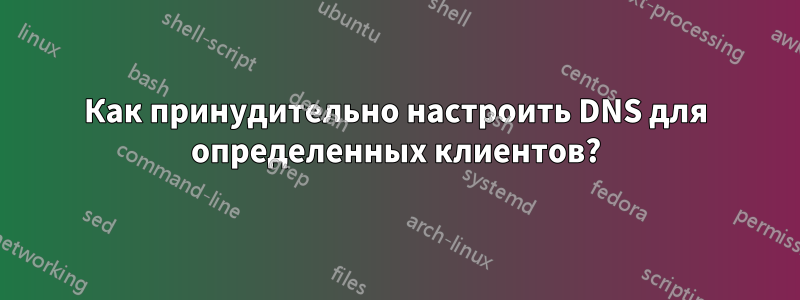 Как принудительно настроить DNS для определенных клиентов?