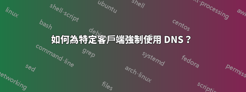 如何為特定客戶端強制使用 DNS？