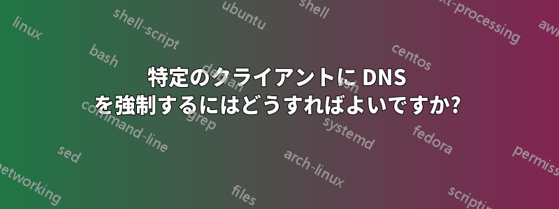特定のクライアントに DNS を強制するにはどうすればよいですか?