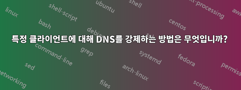 특정 클라이언트에 대해 DNS를 강제하는 방법은 무엇입니까?