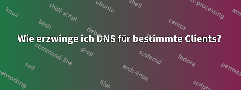 Wie erzwinge ich DNS für bestimmte Clients?