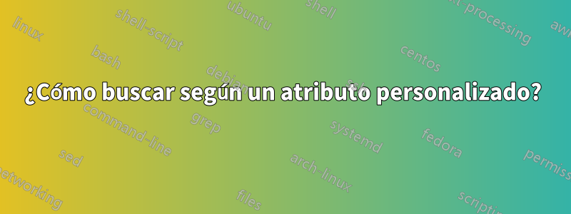 ¿Cómo buscar según un atributo personalizado?