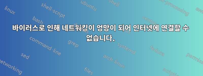 바이러스로 인해 네트워킹이 엉망이 되어 인터넷에 연결할 수 없습니다.