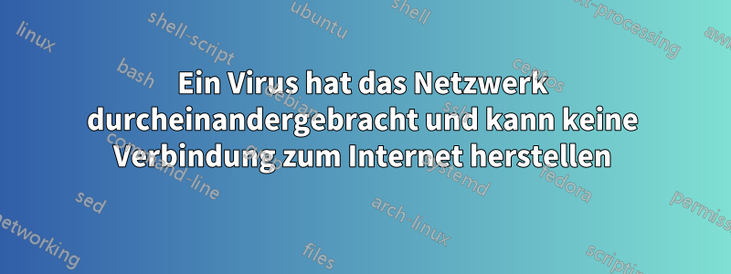 Ein Virus hat das Netzwerk durcheinandergebracht und kann keine Verbindung zum Internet herstellen