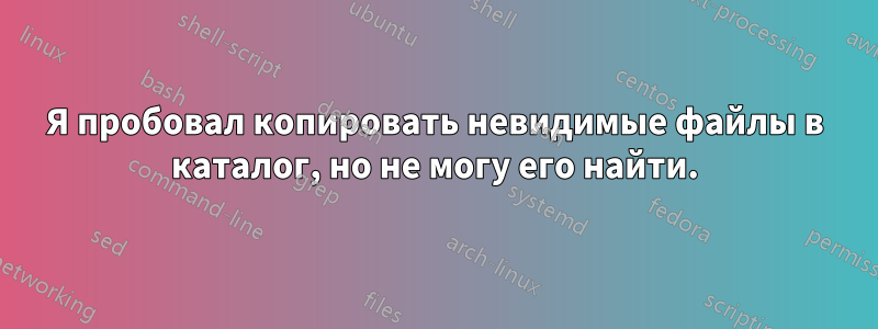 Я пробовал копировать невидимые файлы в каталог, но не могу его найти.