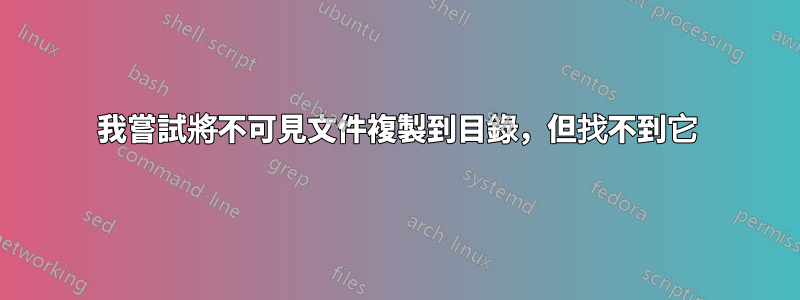 我嘗試將不可見文件複製到目錄，但找不到它