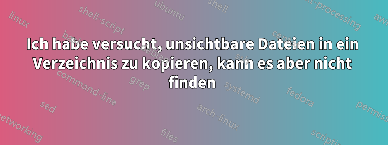 Ich habe versucht, unsichtbare Dateien in ein Verzeichnis zu kopieren, kann es aber nicht finden