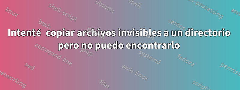 Intenté copiar archivos invisibles a un directorio pero no puedo encontrarlo