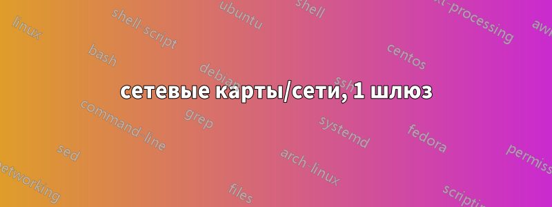 2 сетевые карты/сети, 1 шлюз