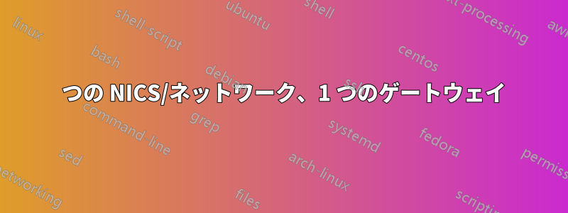 2 つの NICS/ネットワーク、1 つのゲートウェイ