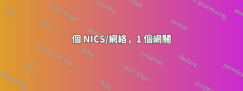 2 個 NICS/網絡，1 個網關