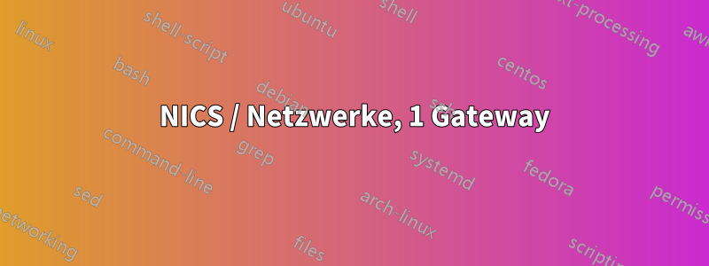 2 NICS / Netzwerke, 1 Gateway