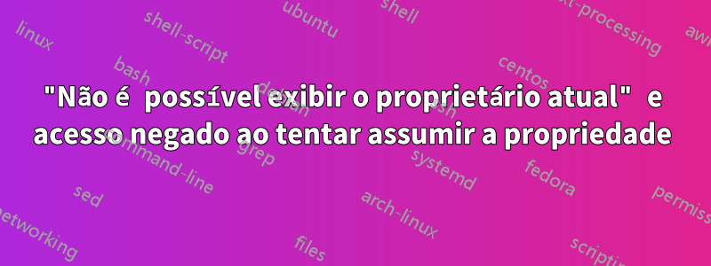 "Não é possível exibir o proprietário atual" e acesso negado ao tentar assumir a propriedade