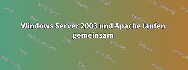 Windows Server 2003 und Apache laufen gemeinsam