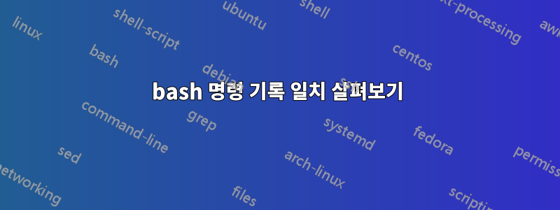 bash 명령 기록 일치 살펴보기