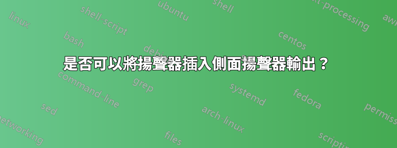 是否可以將揚聲器插入側面揚聲器輸出？