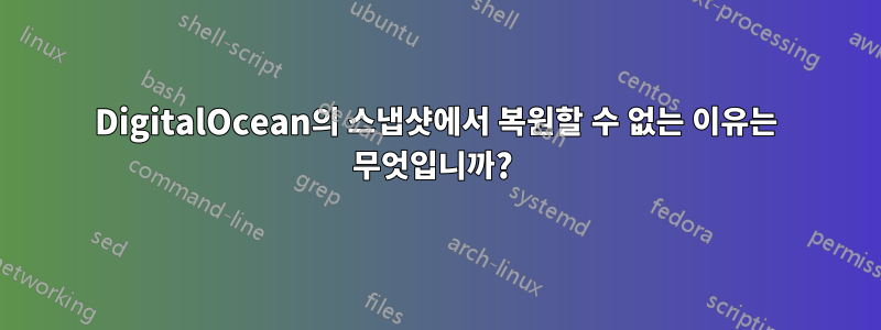 DigitalOcean의 스냅샷에서 복원할 수 없는 이유는 무엇입니까? 
