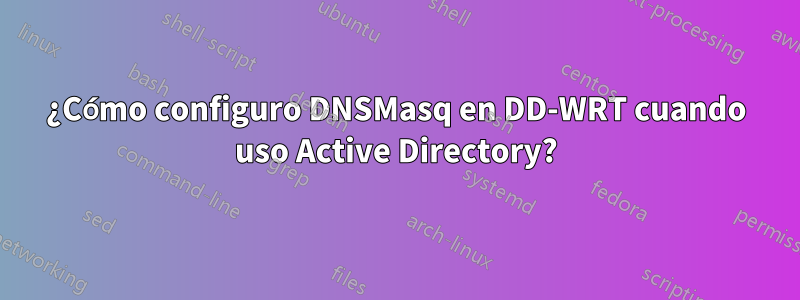 ¿Cómo configuro DNSMasq en DD-WRT cuando uso Active Directory?