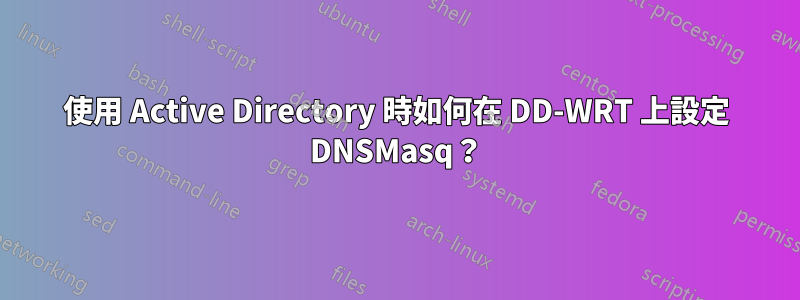 使用 Active Directory 時如何在 DD-WRT 上設定 DNSMasq？