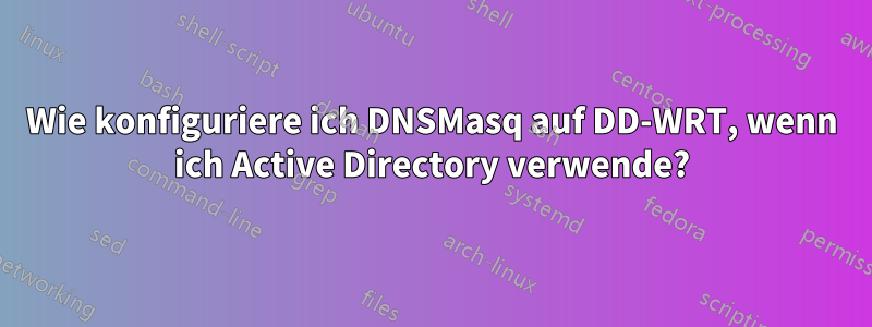 Wie konfiguriere ich DNSMasq auf DD-WRT, wenn ich Active Directory verwende?
