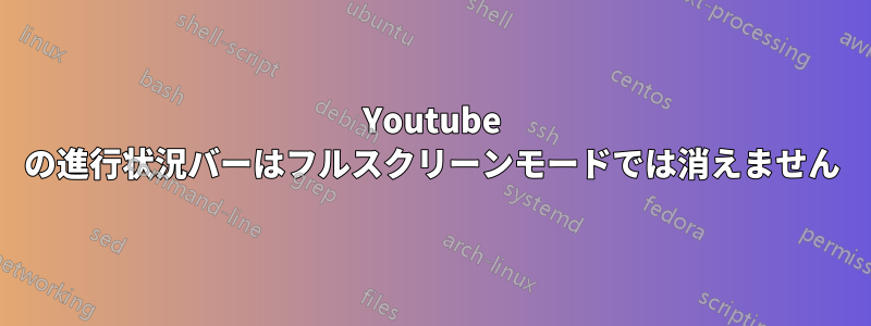 Youtube の進行状況バーはフルスクリーンモードでは消えません