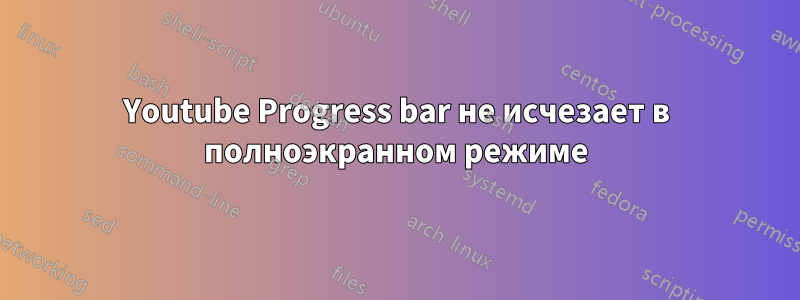 Youtube Progress bar не исчезает в полноэкранном режиме